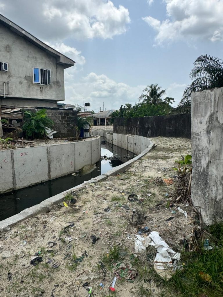 Drainage channel showing stagnant water conditions ideal for vector breeding. Note the waste accumulation on banks and anaerobic water conditions (dark coloration) indicating dissolved oxygen depletion. Vegetation growth in waste deposits demonstrates long-term neglect.
